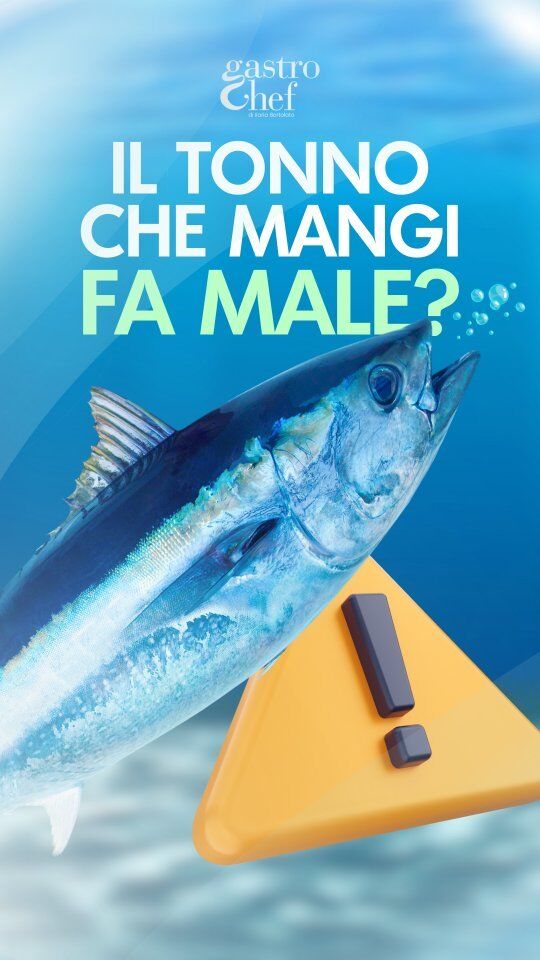 🎣 Il tonno che mangiamo, fa male? 🤔

Ciò che scoprirai potrebbe cambiare PER SEMPRE la tua scelta del tonno in fase di acquisto.

Ecco degli accorgimenti FONDAMENTALI per poter acquistare del tonno di qualità e soprattutto il meno inquinato possibile.

Se il video ti è stato utile, salvalo ed invialo ad un'amica/o!

#tonno #FAO #male #qualità #pesce #mare #oceano #sano